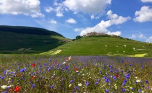 Piano Grande with Castelluccio